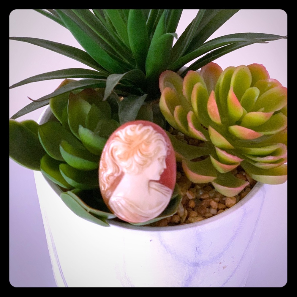 Gorgeous Hand Carved Cameo